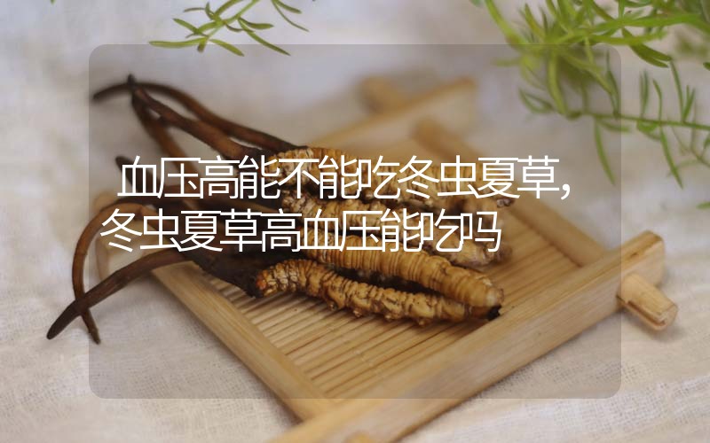 血壓高能不能吃冬蟲夏草，冬蟲夏草高血壓能吃嗎？