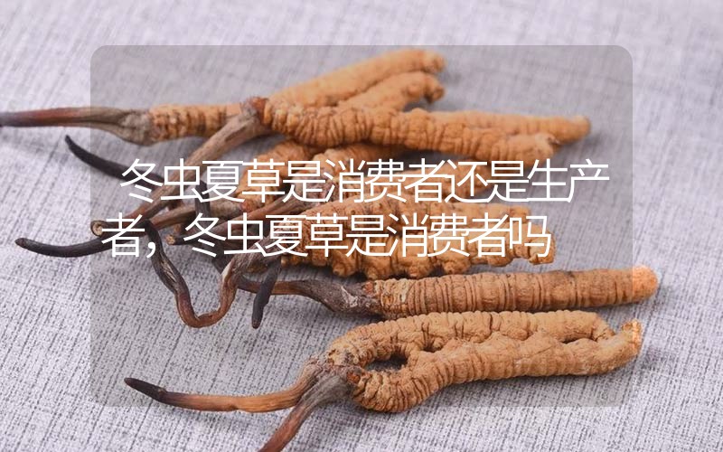 貧血吃冬蟲夏草有效果嗎，貧血虛弱者可以用冬蟲夏草嗎？