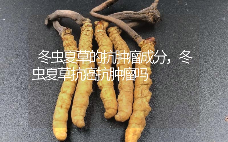 冬蟲夏草的抗腫瘤成分，冬蟲夏草抗癌抗腫瘤嗎？