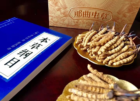 冬蟲(chóng)夏草真就那么好嗎？它的主要功能是什么呀