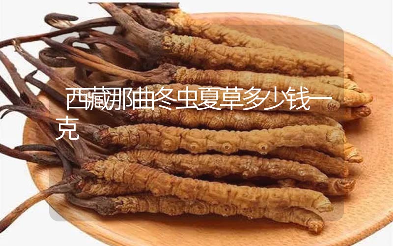 西藏那曲冬蟲夏草多少錢一克？