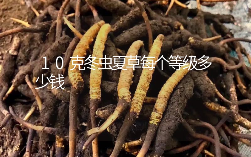 10克冬蟲夏草每個(gè)等級(jí)多少錢？