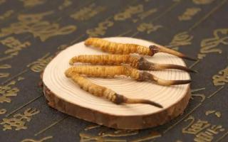 冬蟲夏草有保質(zhì)期嗎？