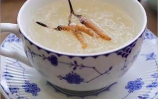 端午節(jié)應該怎么吃冬蟲夏草？