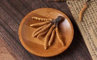 冬蟲(chóng)夏草可以和蘑菇一起吃嗎？