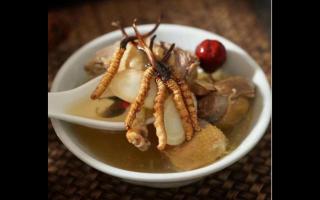 藏民來(lái)分享冬蟲(chóng)夏草的三種吃法！