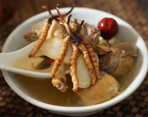 冬蟲夏草可以燉海鯽魚嗎？