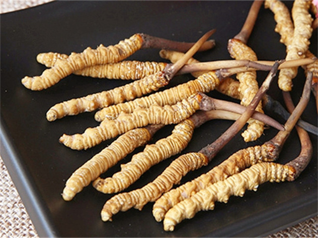 真的冬蟲夏草什么價格？影響冬蟲夏草價格波動的3個關(guān)鍵因素