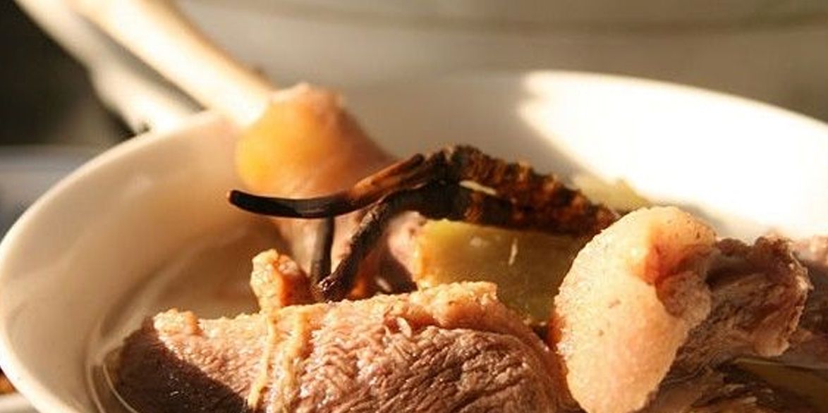 冬蟲(chóng)夏草怎么吃？多種食用方法全解析
