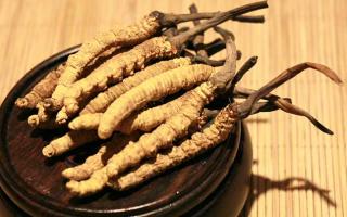 冬蟲夏草的價格一克：為何如此昂貴？