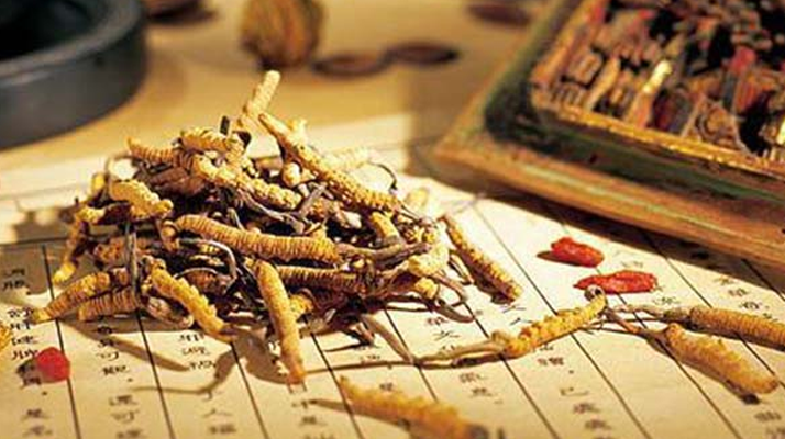 同仁堂健康冬蟲夏草：傳承品質(zhì)，饋贈(zèng)健康