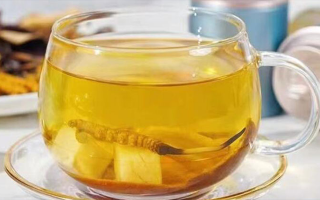 冬蟲夏草可以直接泡水喝嗎？科學(xué)解析與正確方法