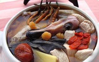 冬蟲夏草配什么煲湯好？營養(yǎng)美味的搭配指南