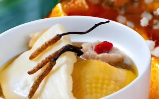 冬蟲夏草每天什么時(shí)候吃最好？一文詳解最佳食用時(shí)間