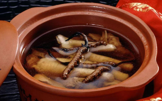 糖尿病可服用冬蟲(chóng)夏草嗎？科學(xué)解析其調(diào)理價(jià)值與注意事項(xiàng)