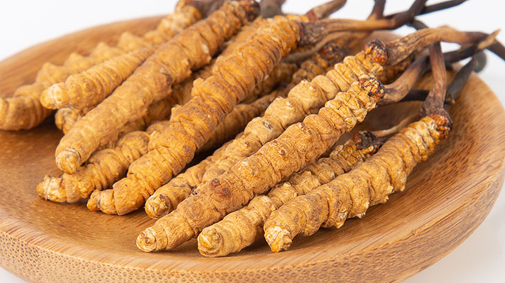 冬蟲(chóng)夏草，真有那么大效果？