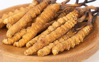 冬蟲夏草，真有那么大效果？