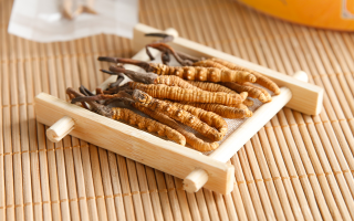 冬蟲夏草可以干燥存放嗎？科學(xué)儲(chǔ)存方法與注意事項(xiàng)